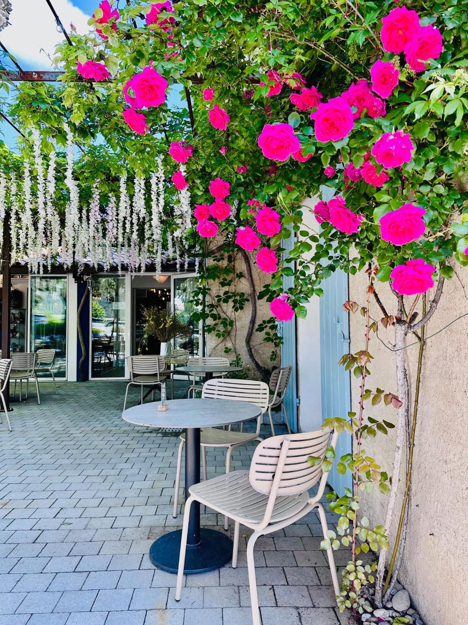 Hotel Le Provence - Restaurant Le Styx La Palud-sur-Verdon Kültér fotó
